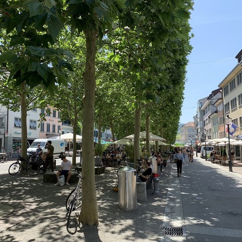 Baumreihen wirken wie Frischluftkorridore. (Foto: Irene Küpfer). Vergrösserte Ansicht