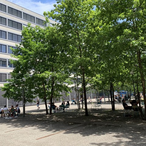 Städte werden zu Hitzeinseln - beschattete Innenhöfe bieten Zuflucht. (Foto: Irene Küpfer). Vergrösserte Ansicht