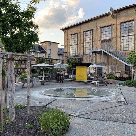 Kühlendes Wasser und Grün auf dem Lagerplatz. (Foto: Irene Küpfer). Vergrösserte Ansicht