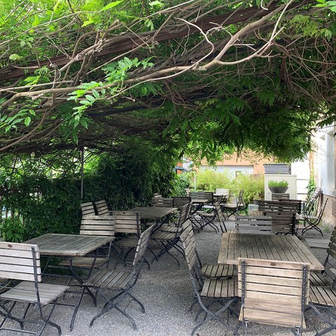 Grün sorgt für Schatten. (Foto: Irene Küpfer). Vergrösserte Ansicht