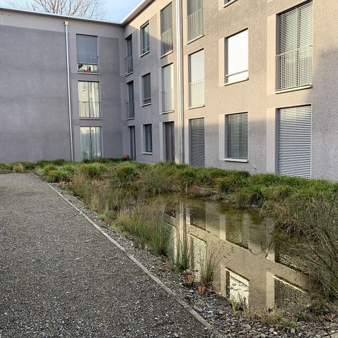 Unversiegelte Wege und Wasser-Rückhalteflächen kühlen das Wohnumfeld. (Foto: Irene Küpfer). Vergrösserte Ansicht