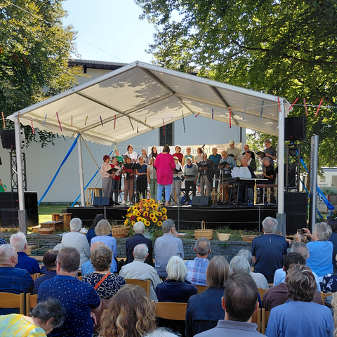 Konzert. Vergrösserte Ansicht