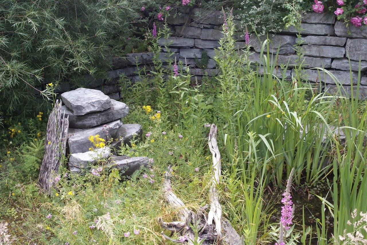 Schattige Wassterstelle im Garten mit Totholz und Steinen als Verstecke für Tiere.