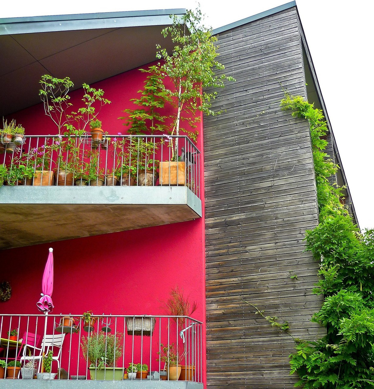 Zwei Balkone mit Bepflanzung sowie Vertikalbegrünung