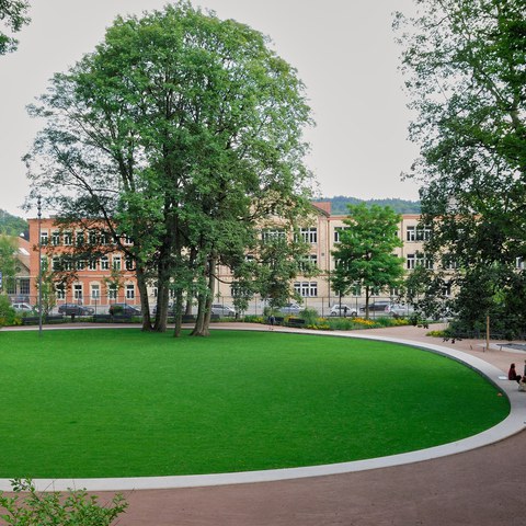 15-Brühlgutpark 1 10081940 h2160.jpg. Vergrösserte Ansicht