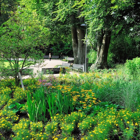 17-Brühlgutpark 10081920 h2160.jpg. Vergrösserte Ansicht