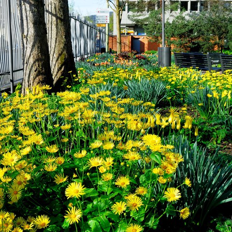 21-Brühlgutpark 12042554 h2160.jpg. Vergrösserte Ansicht