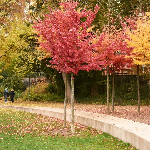 23-Brühlgutpark 16110239 h2160.jpg. Vergrösserte Ansicht