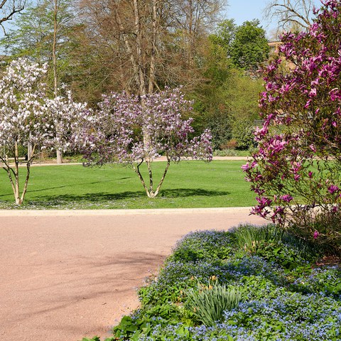 24-Brühlgutpark 19041918 h2160.jpg. Vergrösserte Ansicht