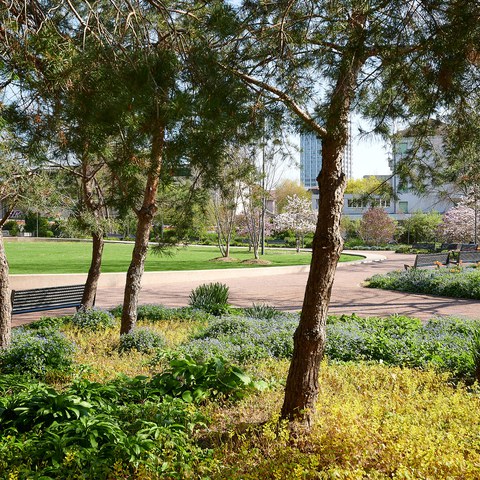 25-Brühlgutpark 19041930 h2160.jpg. Vergrösserte Ansicht