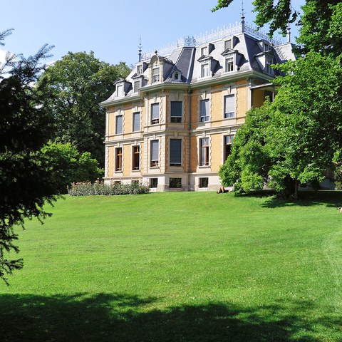 166-Rychenbergpark 1 12070934 h2160.jpg. Vergrösserte Ansicht