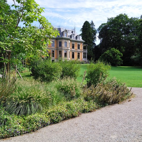 168-Rychenbergpark 12090111 h2160.jpg. Vergrösserte Ansicht