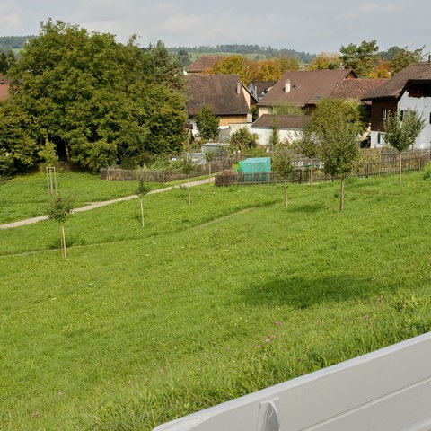 172-Schenkelwiese 1 13092723 h2160.jpg. Vergrösserte Ansicht