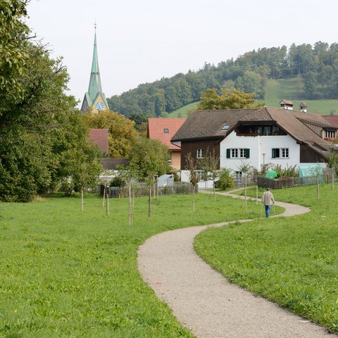 176-Schenkelwiese 13092718 h2160.jpg. Vergrösserte Ansicht