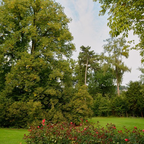 228-Villa Bühler Park 13091925 h2160.jpg. Vergrösserte Ansicht
