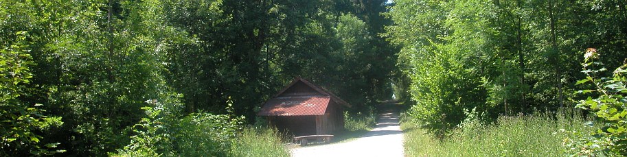 Freizeit im Wald