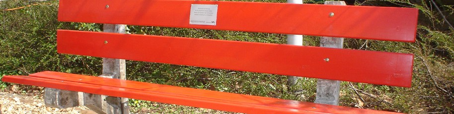 Sitzbankgönnerschaft