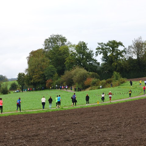 658A6391.jpeg. Vergrösserte Ansicht