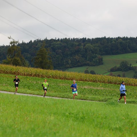 658A6850.jpeg. Vergrösserte Ansicht