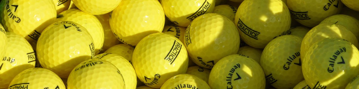 Golf for schools