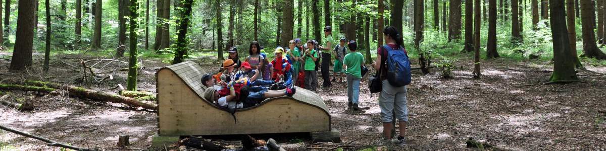 Unterricht im Wald