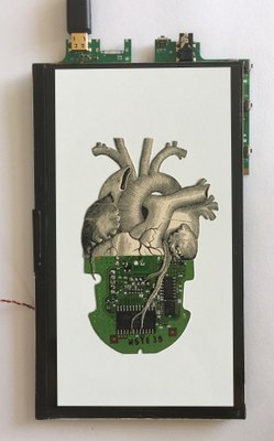 Jan Sebesta, Manipulated Strategy, 2016