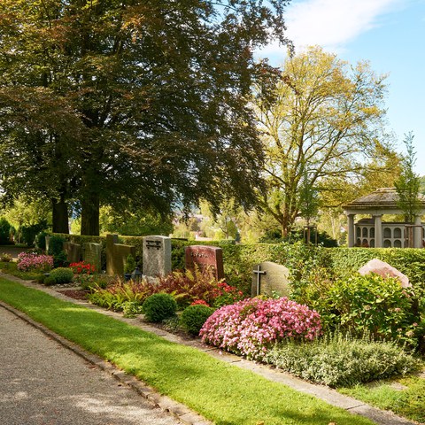 100-Friedhof Rosenberg 15092322 h2160.jpg. Vergrösserte Ansicht