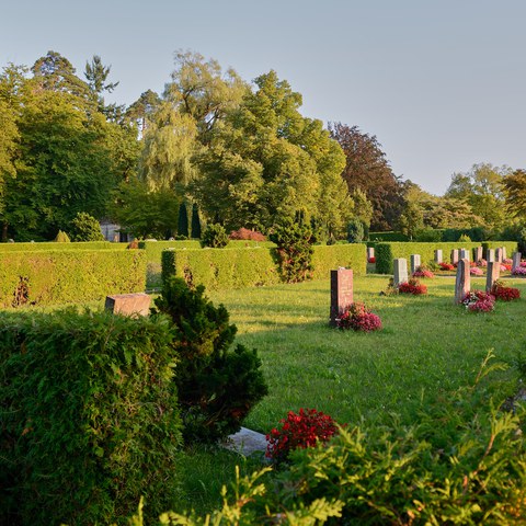 86-Friedhof Rosenberg 13083063 h2160.jpg. Vergrösserte Ansicht