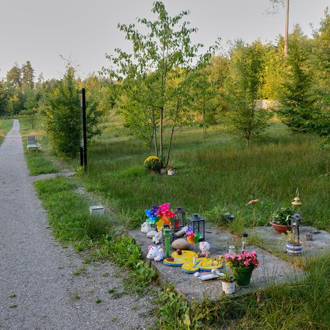 87-Friedhof Rosenberg 13083072 h2160.jpg. Vergrösserte Ansicht