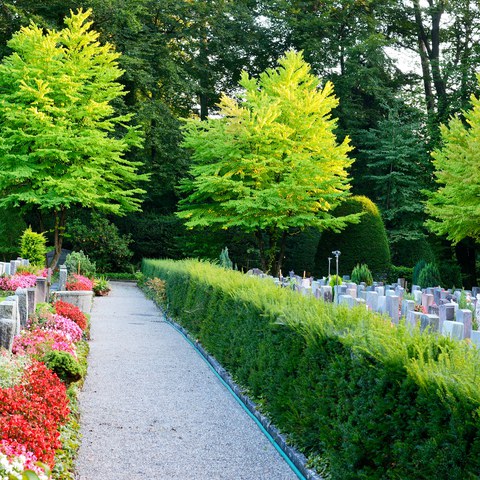 88-Friedhof Rosenberg 13083077 h2160.jpg. Vergrösserte Ansicht