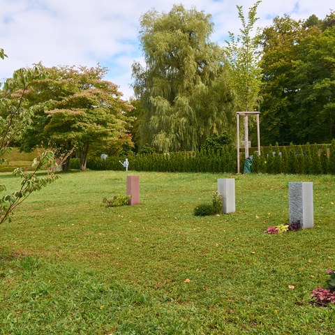 99-Friedhof Rosenberg 15092310 h2160.jpg. Vergrösserte Ansicht