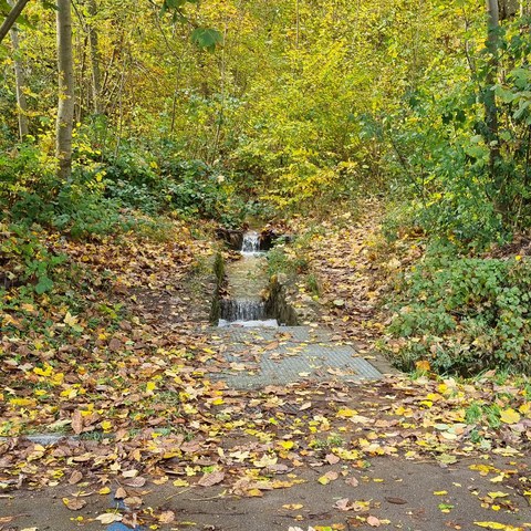 Veltheimer Dorfbach, Einlaufbauwerk im Wald oberhalb der Bettenstrasse. Vergrösserte Ansicht
