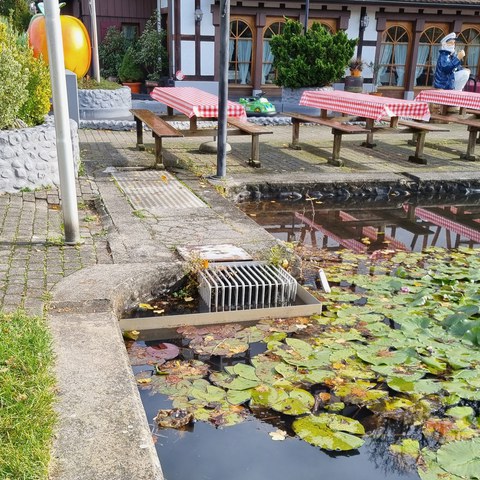 Schützenweiher, Auslaufbauwerk. Vergrösserte Ansicht