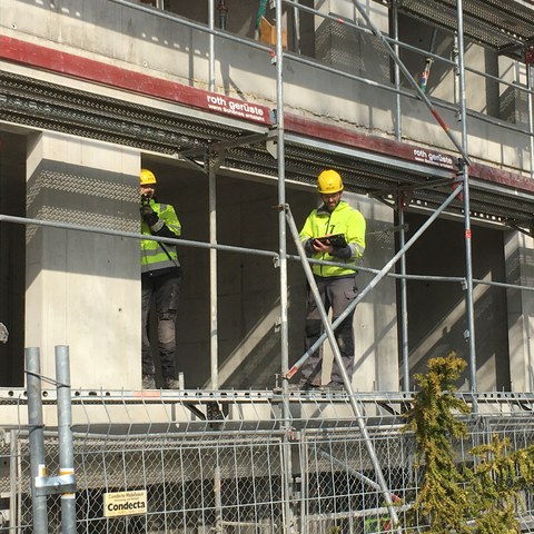 Fassadenachsen. Vergrösserte Ansicht